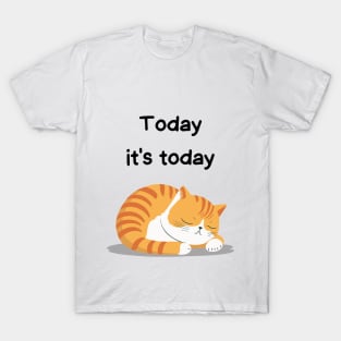 Sleeping Affirmation Cat - Today it's today | Cat Lover Gift | Law of Attraction | Positive Affirmation | Self Love T-Shirt